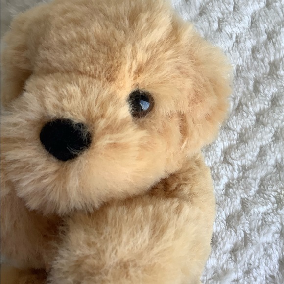 DOUGLAS Soft Tiny Newborn Golden Retriever Puppy Dog Plush Stuffed Animal w Tags - Picture 9 of 14